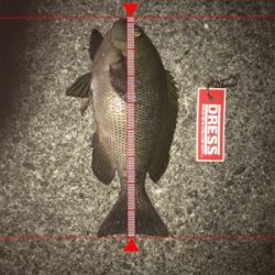 ゴールデンウィーク8日目