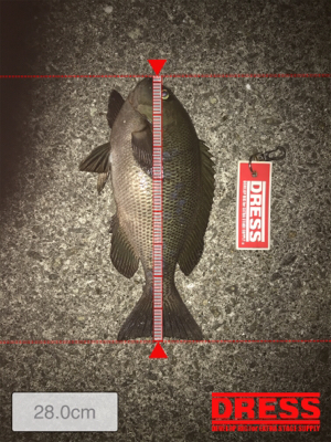 ゴールデンウィーク8日目