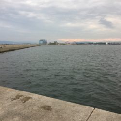 少なくなってきた〜〜