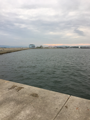 少なくなってきた〜〜