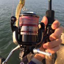 淀川ブリームゲーム 紀ノ川遠征