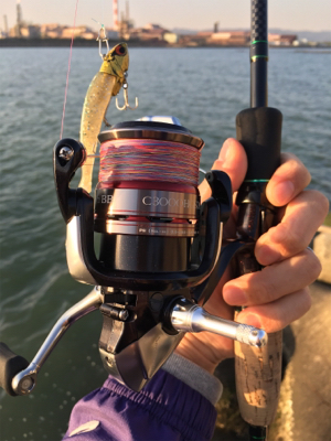 淀川ブリームゲーム 紀ノ川遠征