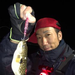 ナイトプラッキングゲーム☆GUNNING-STYLE