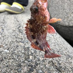 思い通りにはいかない…