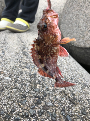 思い通りにはいかない…