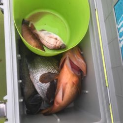 子供と釣船体験