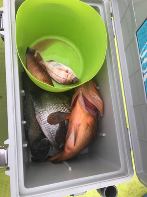 子供と釣船体験