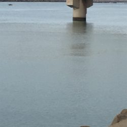 ゴールデン最終日