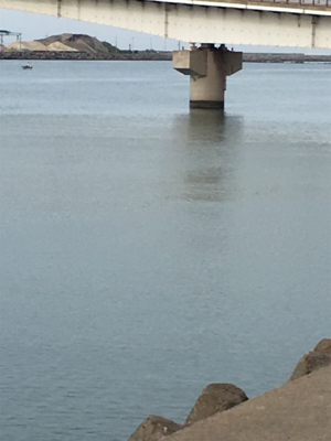 ゴールデン最終日