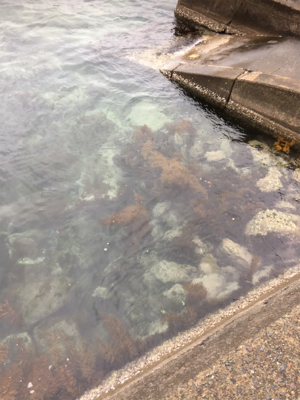 ライトゲームに変更