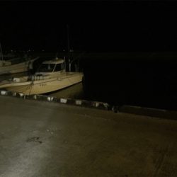 ナイトシーバス