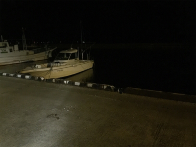 ナイトシーバス