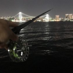 ヘチ釣り