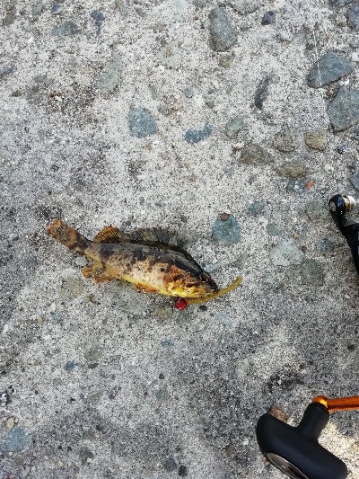 福良漁港にて(旅行のついでに)