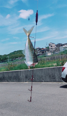 ヤエンで初ゲット