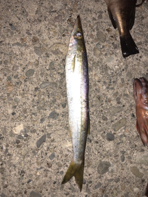 久々のメバリング