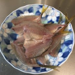 地合いは超短い