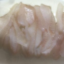 メバルとの我慢くらべ