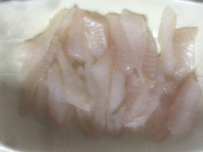 メバルとの我慢くらべ