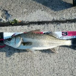 安定のポイントにて