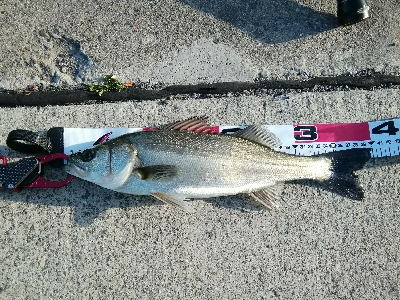 安定のポイントにて