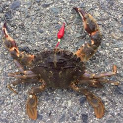 友と寝魚に癒されに♫