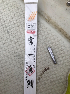 明石  鯛サビキ  大潮