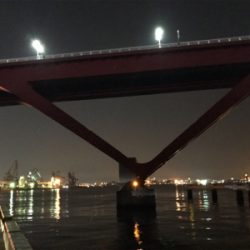 切られたー＿ﾉ乙(､ﾝ､)_