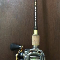 デイナマズゲーム