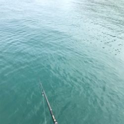 キロオーバー⁉️