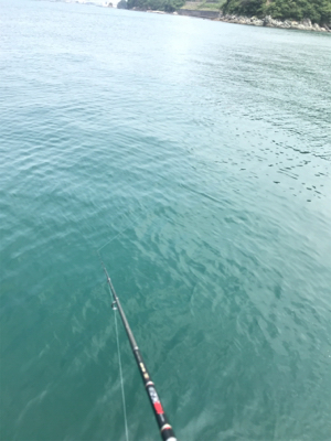 キロオーバー⁉️