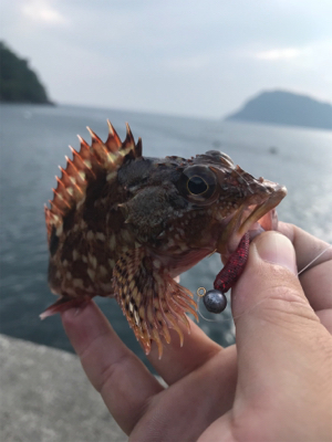 ガジラ様に感謝