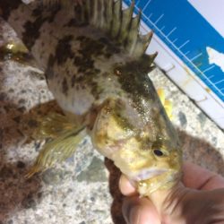 旅行先の雨前に