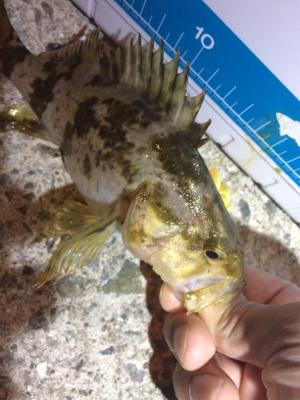 旅行先の雨前に