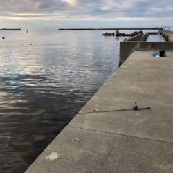 とにかく釣れる釣れる