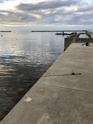 とにかく釣れる釣れる