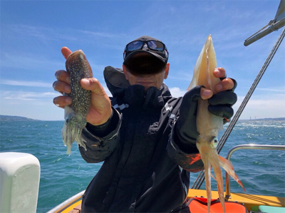 イカ釣れました