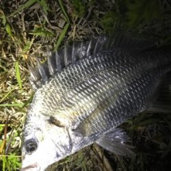 チニングプチ大会♪