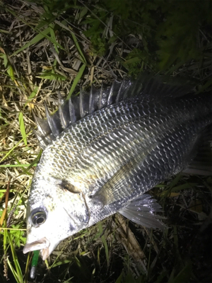 チニングプチ大会♪