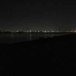 淀川ブリームゲーム 18ナスキーの鱗付け