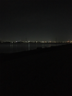 淀川ブリームゲーム 18ナスキーの鱗付け