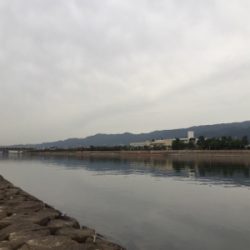 チーバス、ガッシー