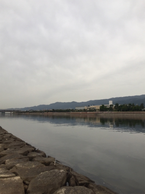 チーバス、ガッシー