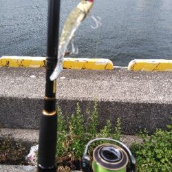 コアマンVJ16金メッキでシーバス、メバル