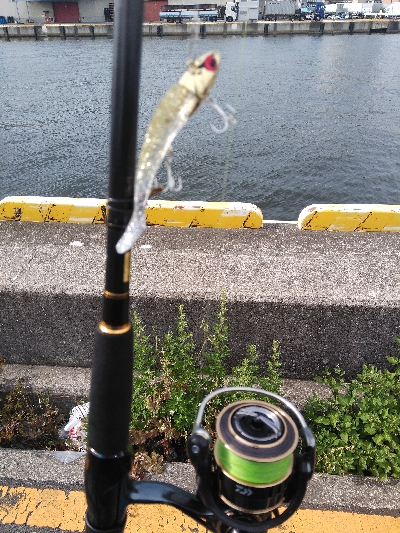 コアマンVJ16金メッキでシーバス、メバル