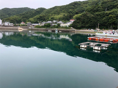 豆アジ、いわし、ガシラ釣り