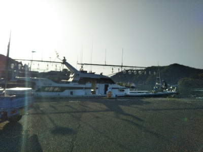 イルカイカメタル