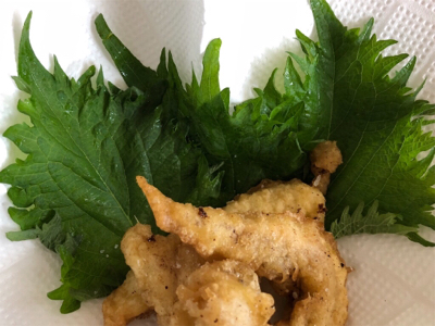 青物狙い→ブラクリへ