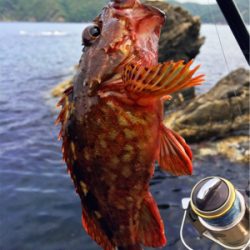 メタルジグで45cmのマハタがガツン（手漕ぎボート）