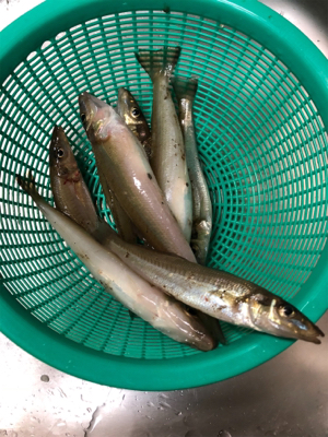 キスシーズン到来‼︎